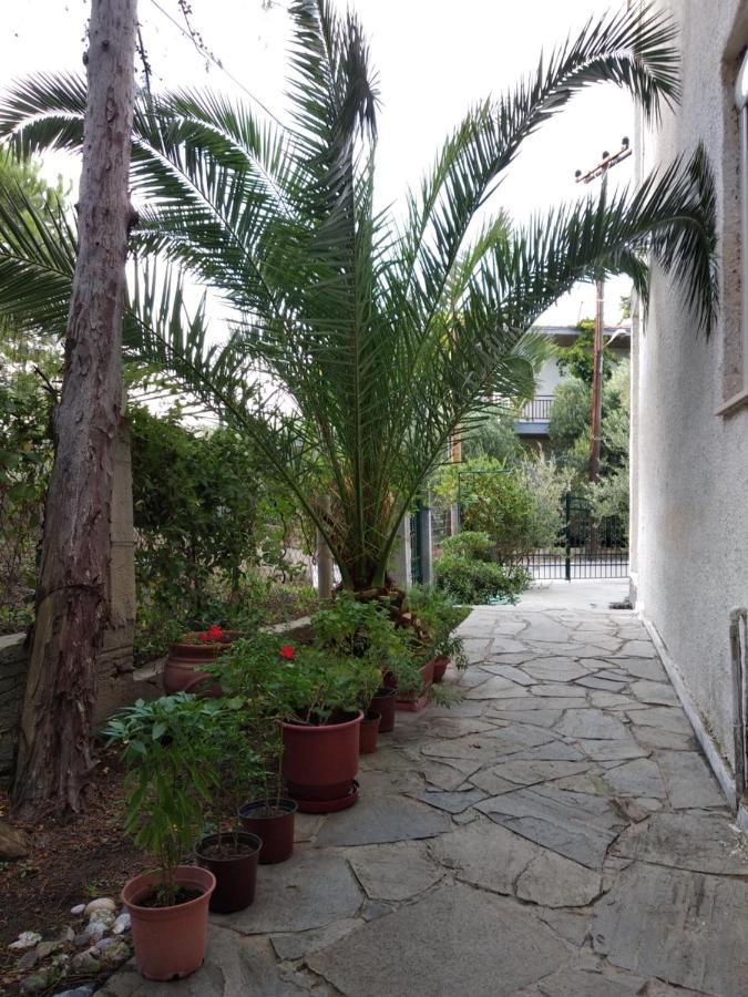 Velikis Apartments Toroni Bagian luar foto