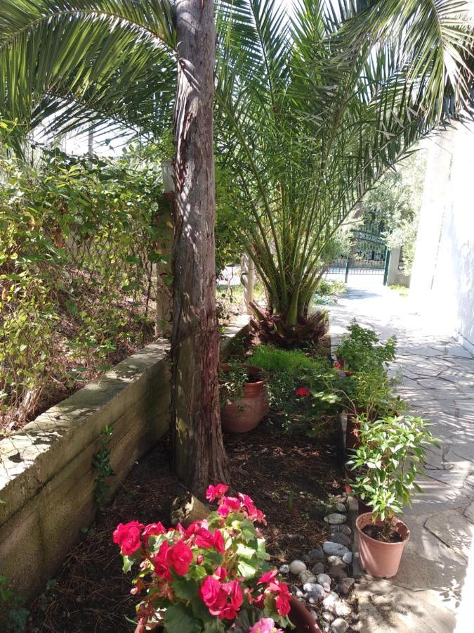 Velikis Apartments Toroni Bagian luar foto
